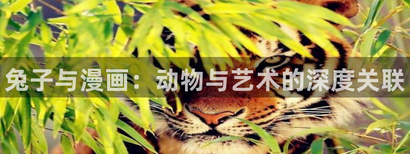 漫画之家漫画