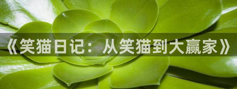 漫画之家官网_漫画之家韩漫在线阅读