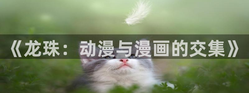 动漫漫画之家