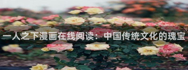 漫画之家社区