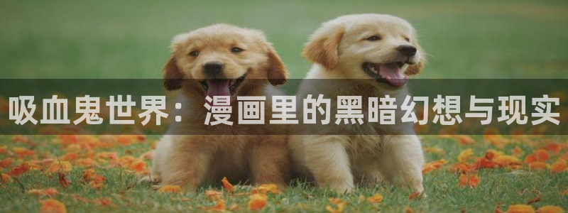 妹子太多而飞升漫画之家