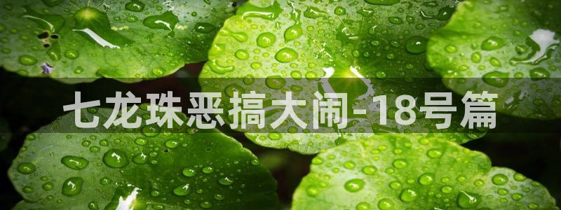 漫画之家2：七龙珠恶搞大闹-18号篇