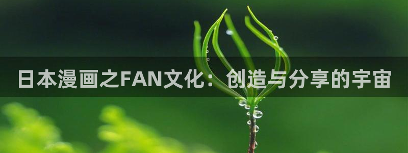 漫画之家软件：日本漫画之FAN文化：创造与分享的宇宙