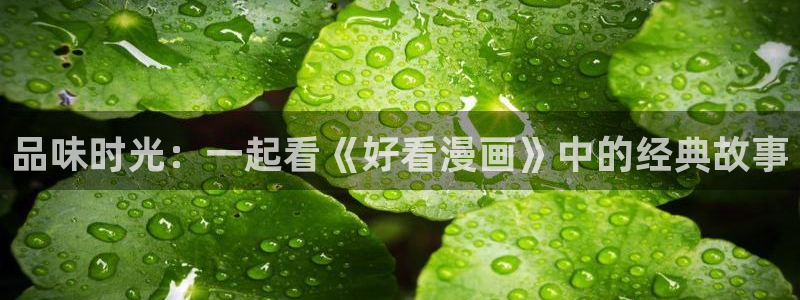 漫画之家官网：品味时光：一起看《好看漫画》中的经典故事