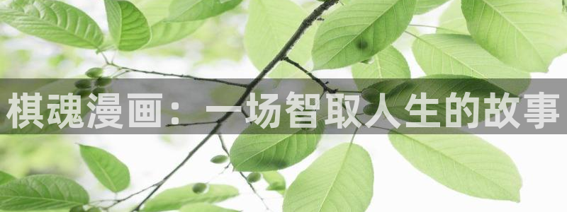 韩漫画之家