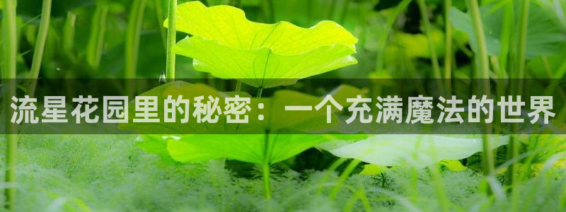 漫画之家app官网下载