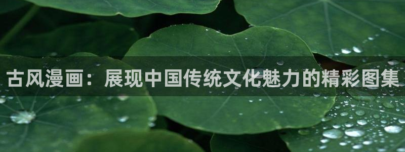 漫画之家网页版入口