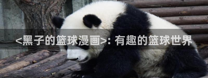 漫画之家app官网下载：<黑子的篮球漫画>: 有趣的篮球世界